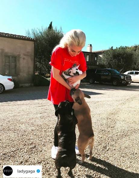 Ogromne ranczo Lady Gagi. Własna stadnina koni i ogródek z warzywami