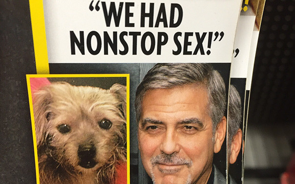 10 najgorszych WPADEK na stronach gazet i magazynów