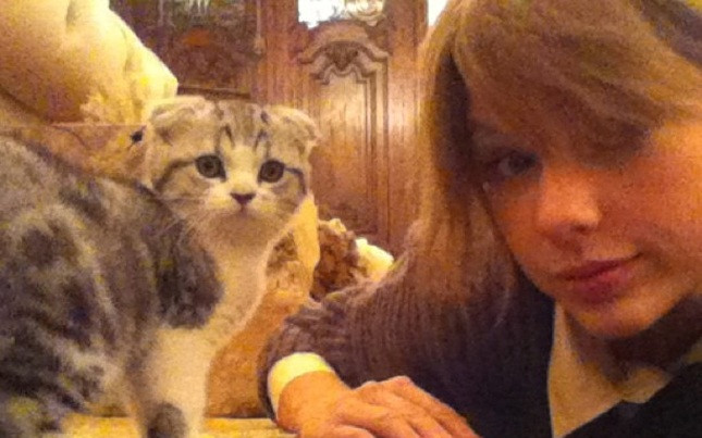 Taylor Swift i jej nowy kociak (FOTO)