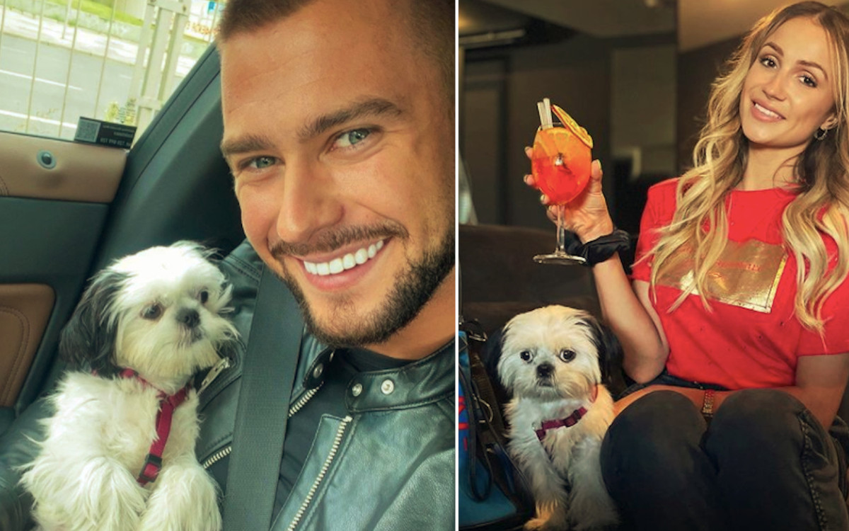 To Sylwia Madeńska jest właścicielką psa? Głos zabrał hodowca, z którego pochodzi Oreo