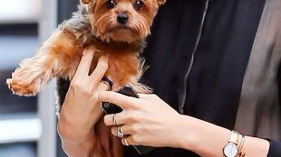 Nowe zdjęcia z życia pięknej i stylowej Mirandy Kerr (FOTO)