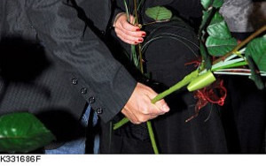 Wojewódzki odpowiada