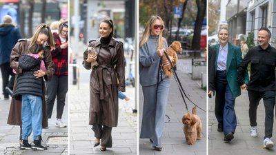 Gwiazdy pod studiem DDTVN. Małgorzata Rozenek i Joanna Przetakiewicz ze swoimi psiakami