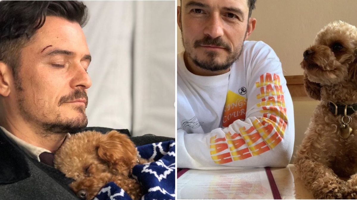 Orlando Bloom i Mighty, fot. Instagram, @orlandobloom