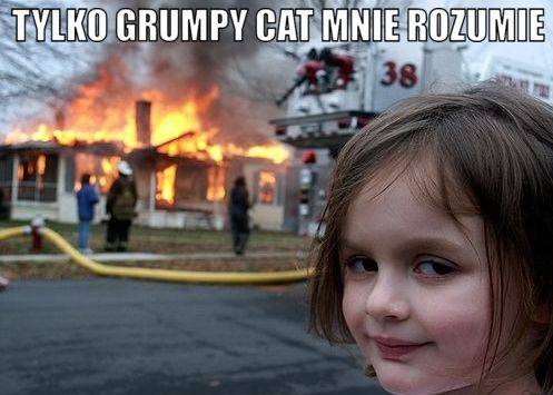 Grumpy Cat – śmieszne obrazki