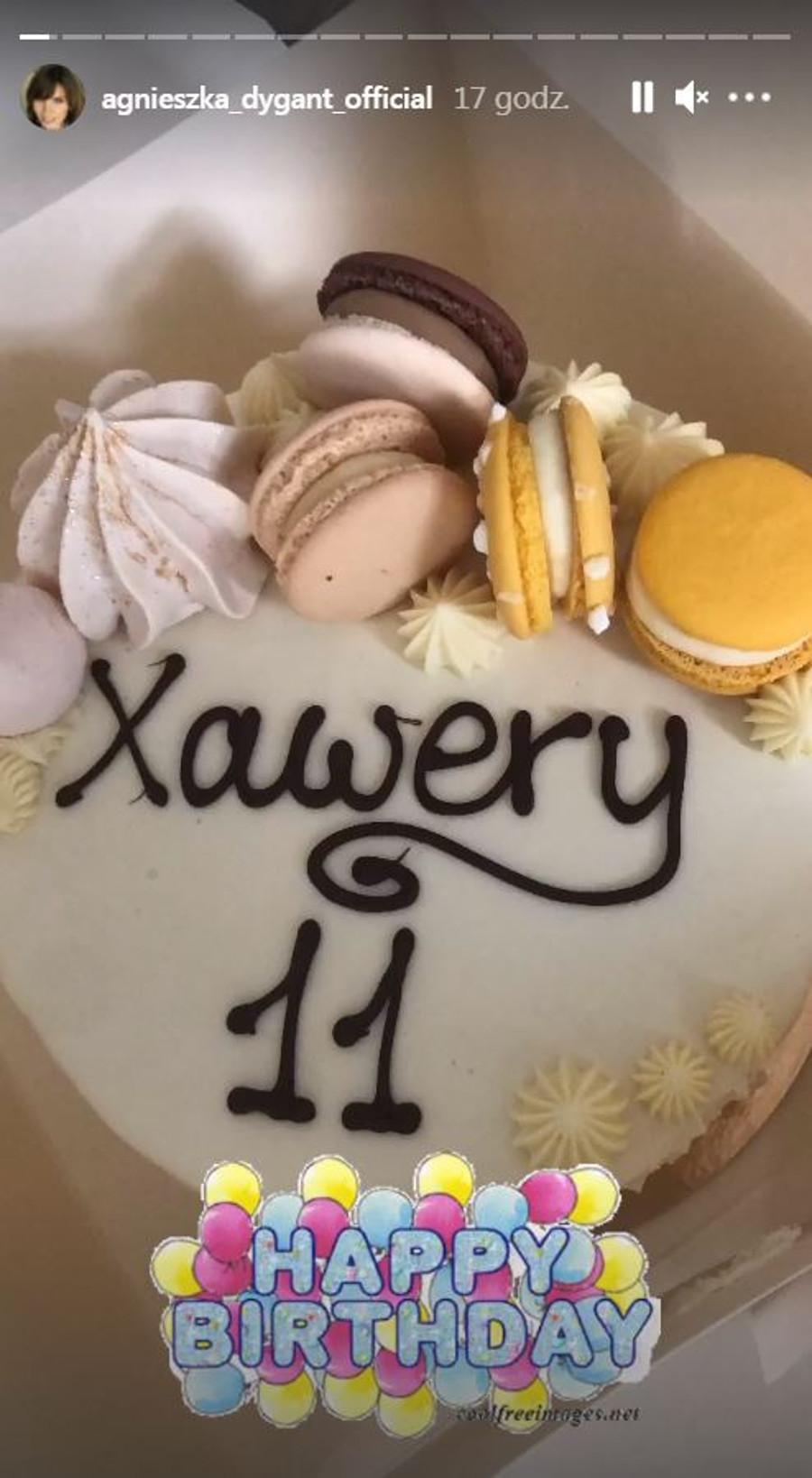 Syn Agnieszki Dygant obchodzi 11 urodziny. Aktorka pokazała zdjęcia. Agnieszka Dygant zorganizowała dla syna urodziny.