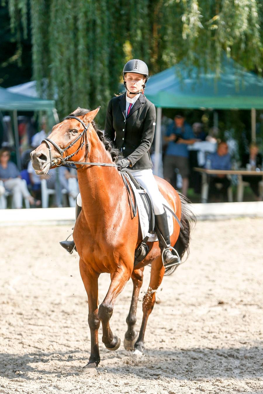 XXII Jeździeckie Mistrzostwa Gwiazd. Bogusław Linda w wydaniu, jakim go nie znamy
