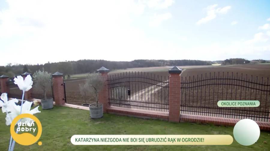 Dom Katarzyny Niezgody screen "Dzień Dobry TVN"