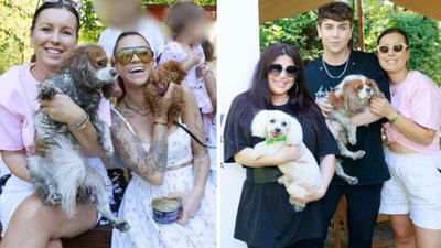 Akcja charytatywna “Gwiazdy zwierzętom”! W pomoc zaangażowały się Maja Hyży, Iwona Węgrowska, Karolina Pilarczyk