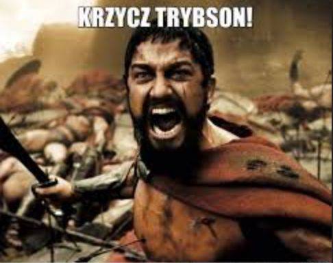 Trybson – memy