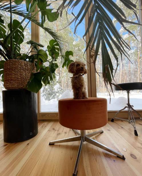 Margaret zamieszkała w środku lasu. Tak wygląda jej dom w Polsce