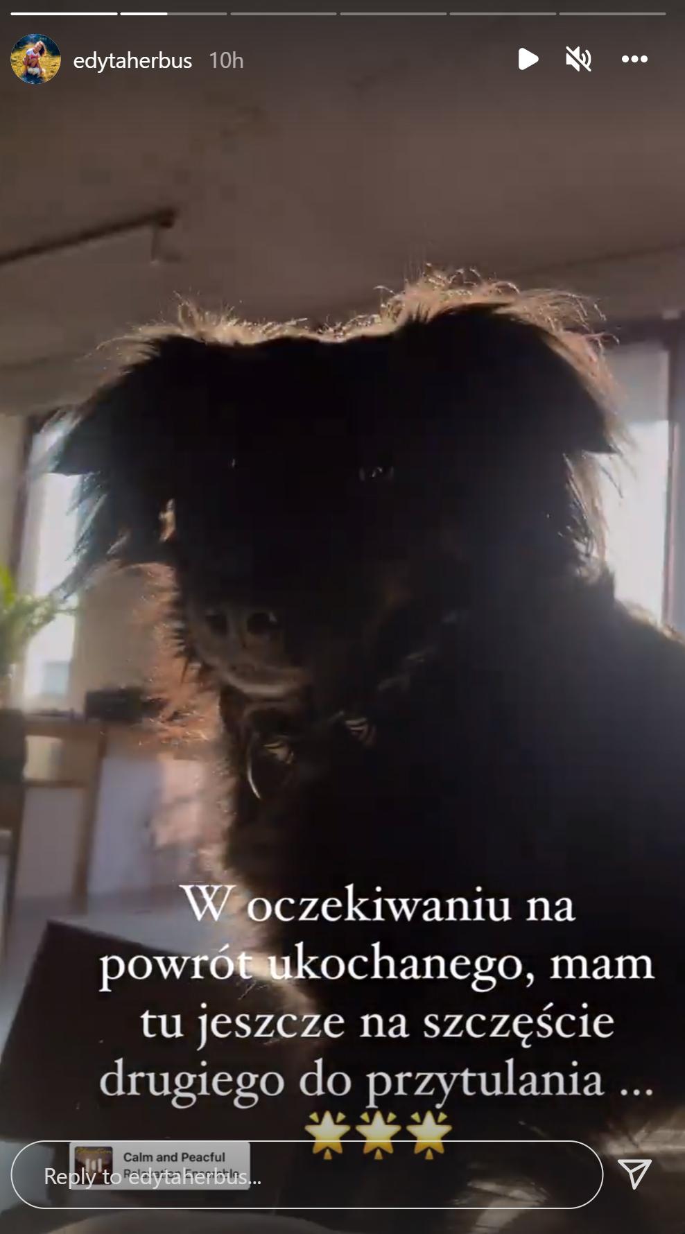 Mąż Edyty Herbuś pojechał na MISJĘ na Ukrainę!