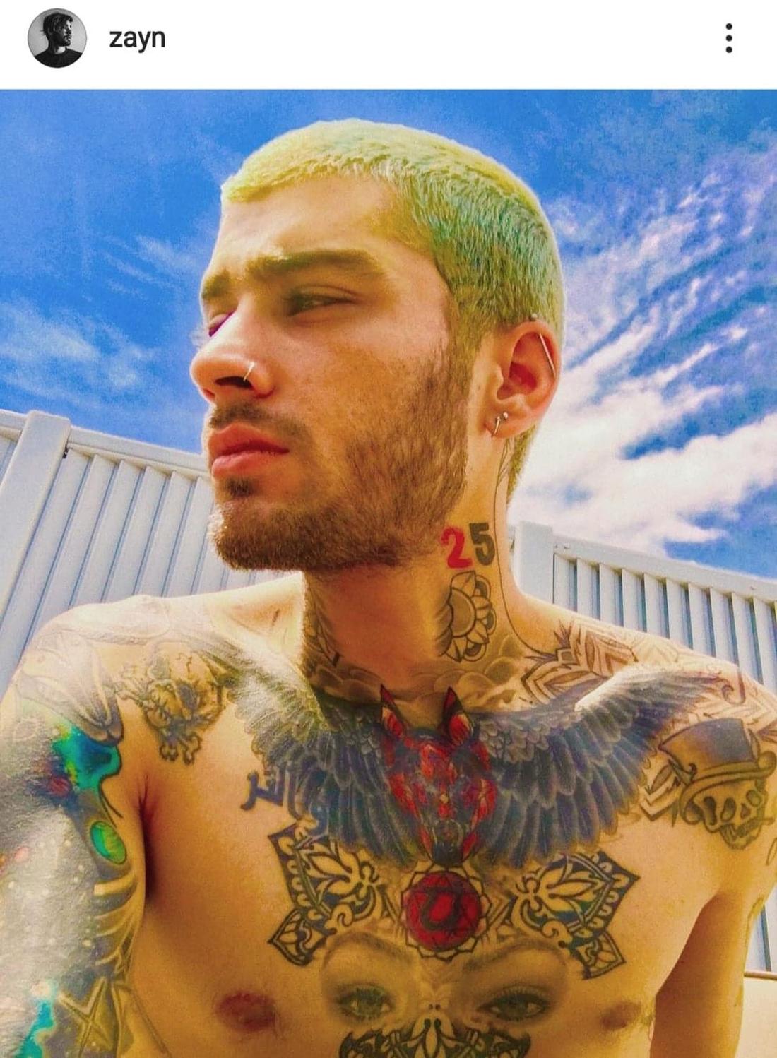 Zayn Malik na selfie