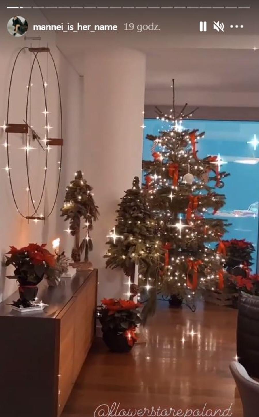 Sara Boruc pokazała udekorowane na święta mieszkanie. 