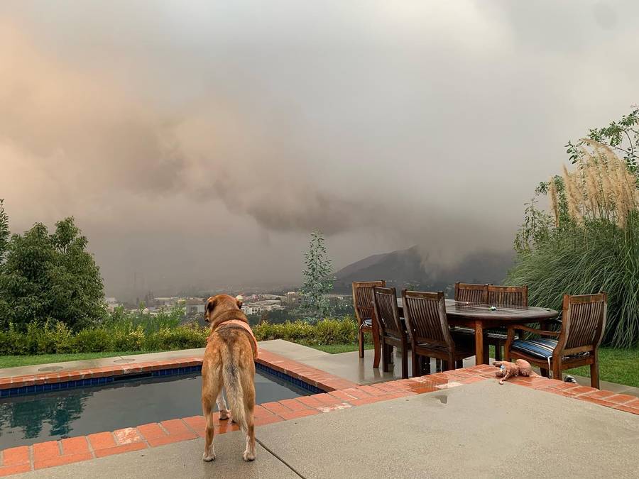 Dom Alicji Bachledy-Curuś, fot. Instagram