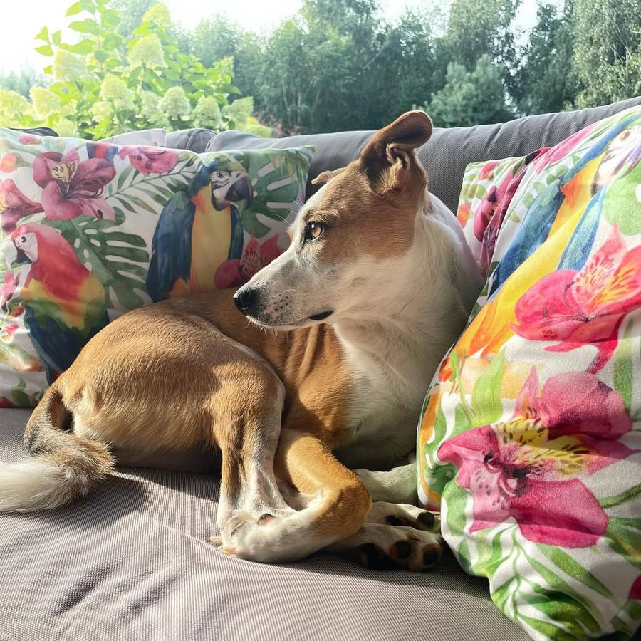 Dom Kwaśniewskich, fot. Instagram.