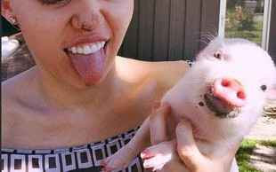 Która gwiazda smacznie chrapie na takim łóżku? (FOTO)