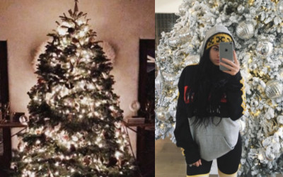 Tak wyglądają choinki w domach gwiazd (FOTO)