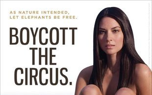 Olivia Munn  nago dla PETA (FOTO)