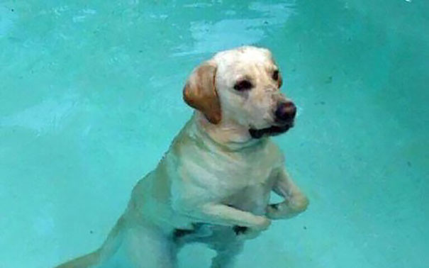 PŁACZĘ ZE ŚMIECHU! Najlepsze snapy ever