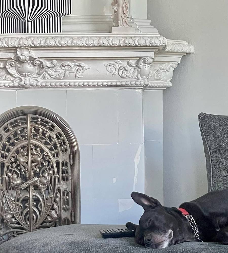 Tak mieszka Michał Szpak