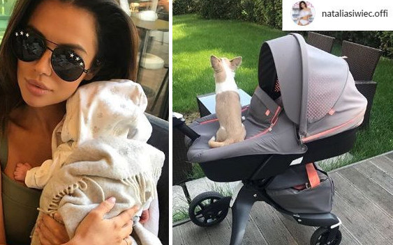 Pies na wózku u Natalii Siwiec i mamy aferę (Instagram)
