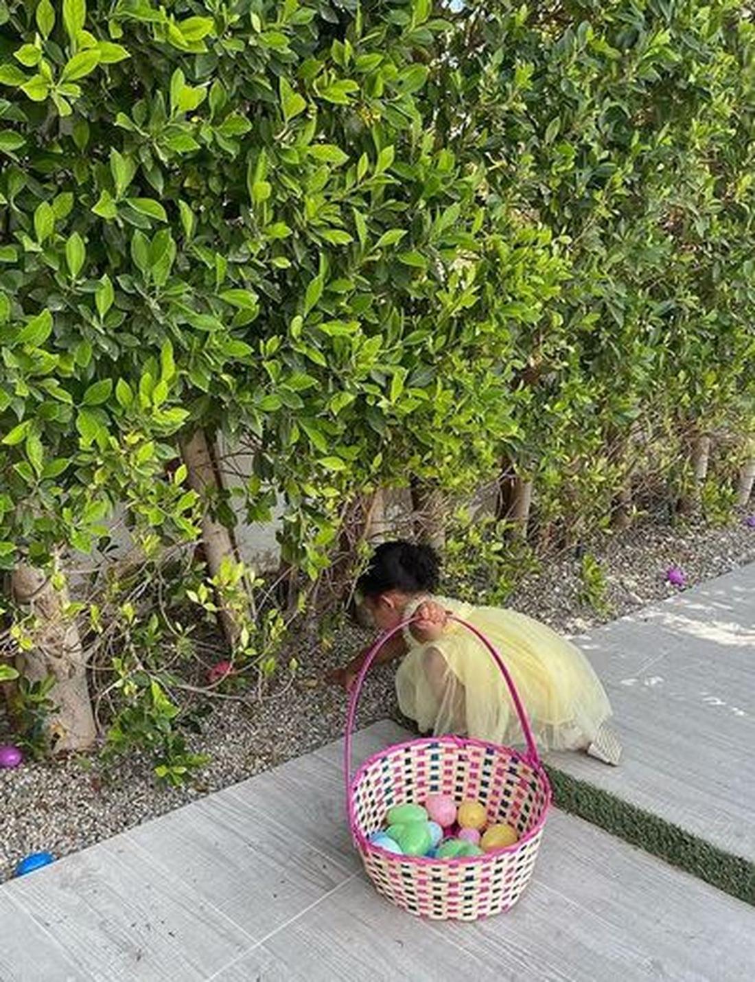 Córka Kylie Jenner zbiera jajka