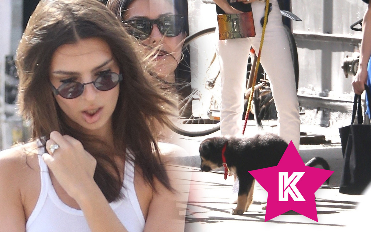 Co zrobiła Emily Ratajkowski, gdy jej pupil załatwił się na środku chodnika? (ZDJĘCIA)