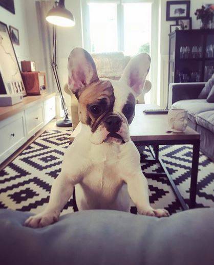 Jak mieszka Dorota Szelągowska?