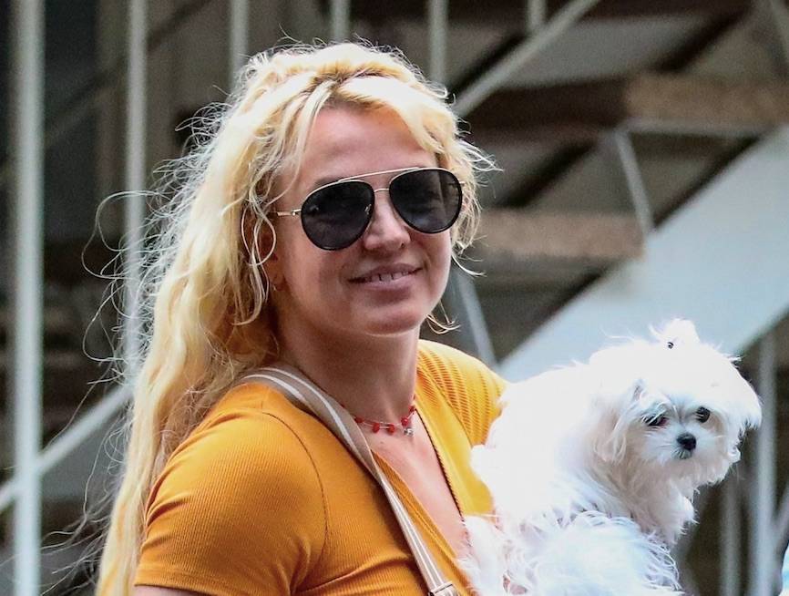 Hollywood niszczy wielkich artystów? Te gwiazdy przeszły/przechodzą załamanie nerwowe!