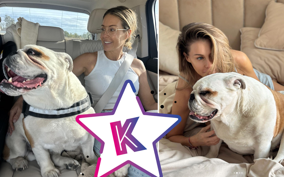 Małgorzata Rozenek pochwaliła się NOWYM PSEM! “To nie jego wina, że NIE JEST ze schroniska”