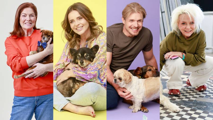 Gwiazdy na sesji do kalendarza fundacji Psierociniec. Boska Herbuś, rockowa Ostrowska... Fot. AKPA.