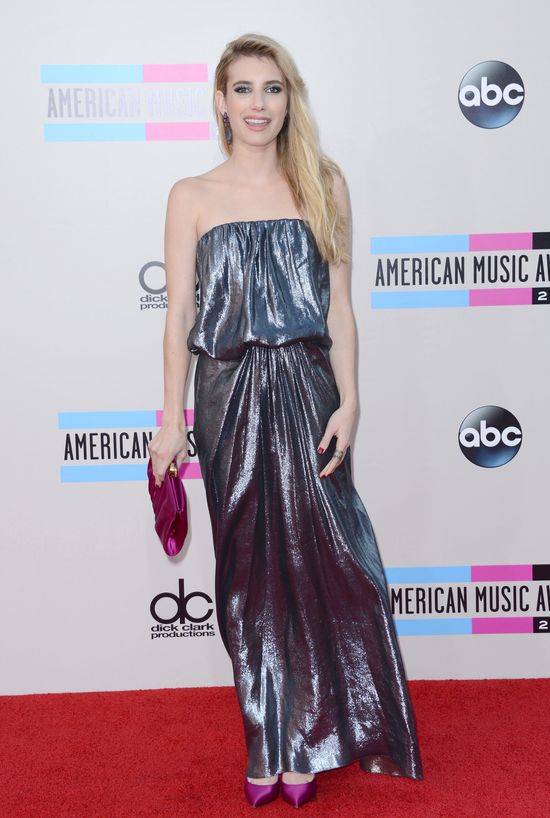 American Music Awards 2013