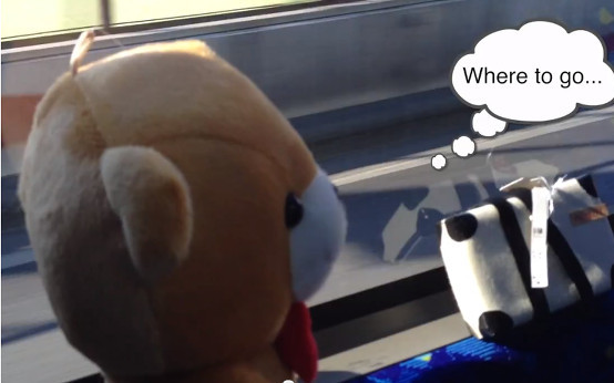 Można wysłać na wakacje swojego pluszaka… (VIDEO)