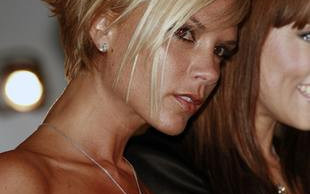 Paris Hilton chce się zaprzyjaźnić