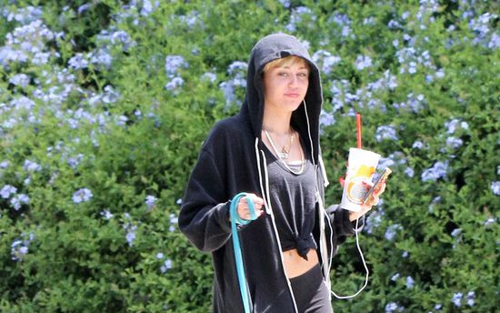 Miley Cyrus z psem na spacerze