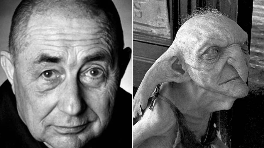 Aktorzy z “Harry’ego Pottera”, których nie ma już wśród nas. Fani wciąż nie pogodzili się z ich śmiercią (ZDJĘCIA)