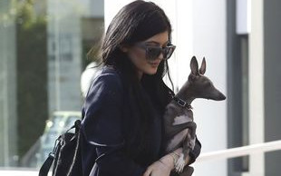 Kylie Jenner lansuje nowy modny dodatek (FOTO)