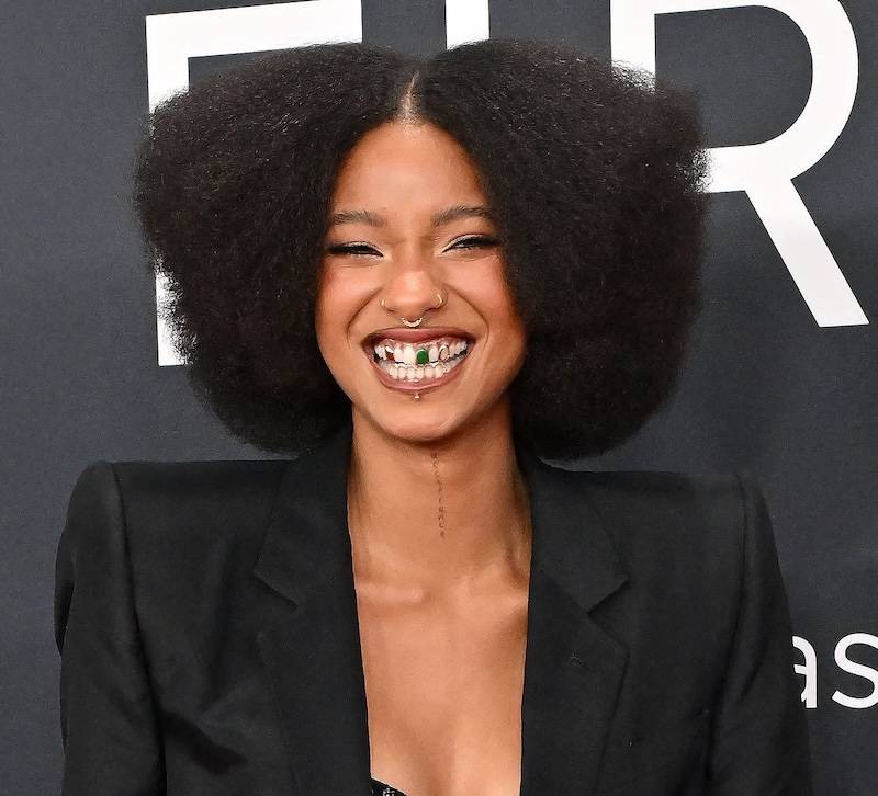 Grammy 2025. Willow i Jadena Smithów na czerwonym dywanie SZOKUJĄ kreacjami