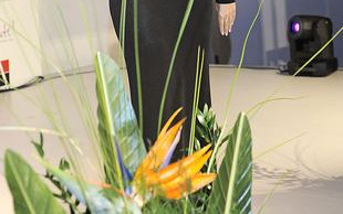 Sara May: Doda wie, czego potrzebujecie Wy gamonie