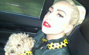 Lady GaGa chce mieć w garderobie manekina z włosami łonowymi