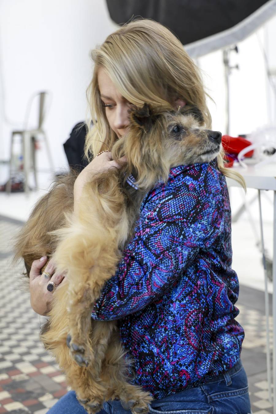 Uroczy backstage sesji do kalendarza “Psierociniec”! Tatiana Okupnik, Maria Sadowska z mężem, Marta Krupa… (FOTO)