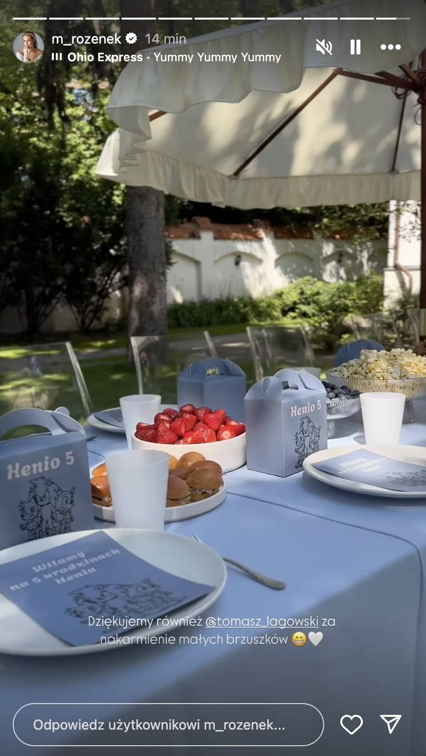 Małgorzata Rozenek-Majdan urządziła 5. urodziny Henia! To pierwsza jego impreza z przytupem (FOTO)