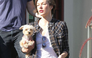 Która gwiazda pokazuje nogi? (FOTO)