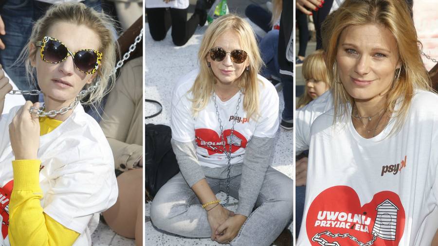 Gwiazdy PRZYKUWAJĄ się łańcuchami do psiej budy (ZDJĘCIA)