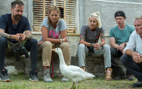 Ale emocje! Kogo zobaczymy w finale Agenta?