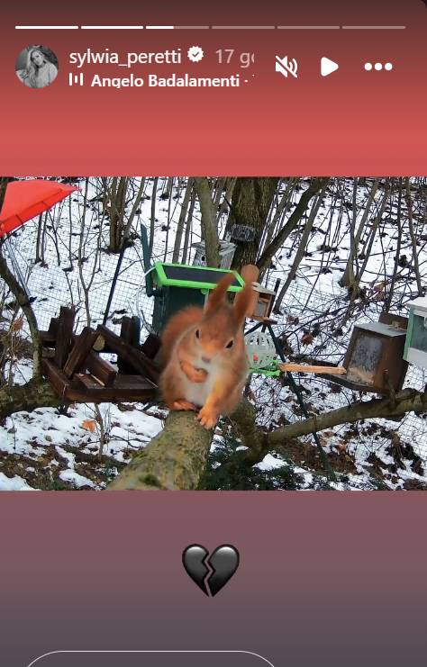 Sylwia Peretti odwiedziła grób syna, fot. Instagram