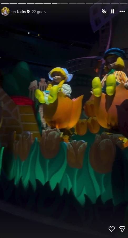 Andziaks i Luka w Disneylandzie, fot. Instagram