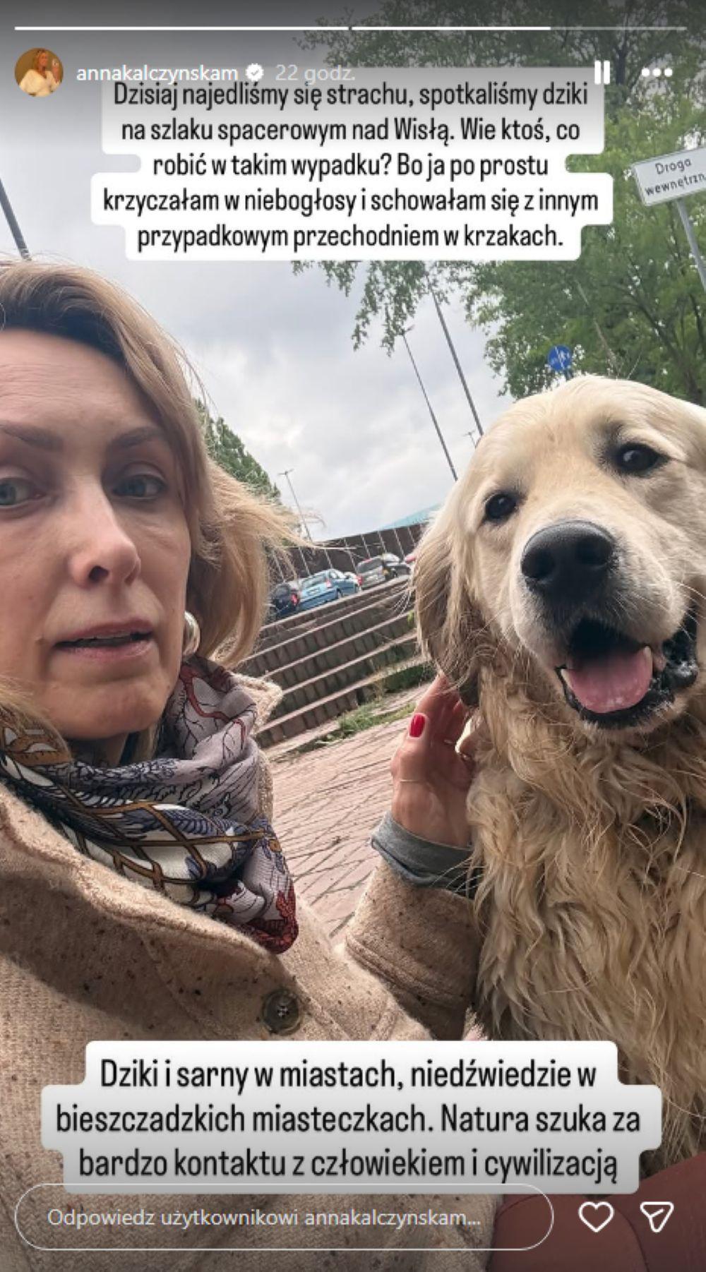 Anna Kalczyńska dziki na spacerze/ Instagram/annakalczynskam