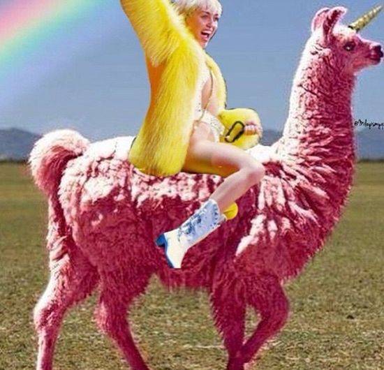 Miley Cyrus chce zostać memem?